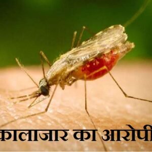 Rashtriya Jagran | खगड़िया जिले में कालाजार से बचाव हेतु जुलाई माह में किया...
